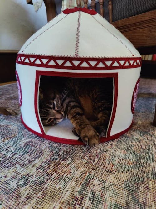 Nomadic Cat Yurts - Cozy Felt Traditional Cat Bed in Red