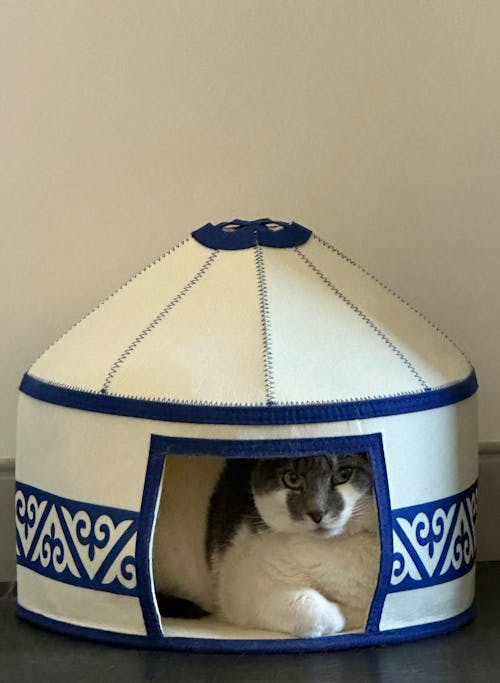 Nomadic Cat Yurts - Steppe-Sky Blue Yurt