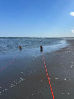 Ronde Sleeplijn vanaf 5 meter BioThane | Nova