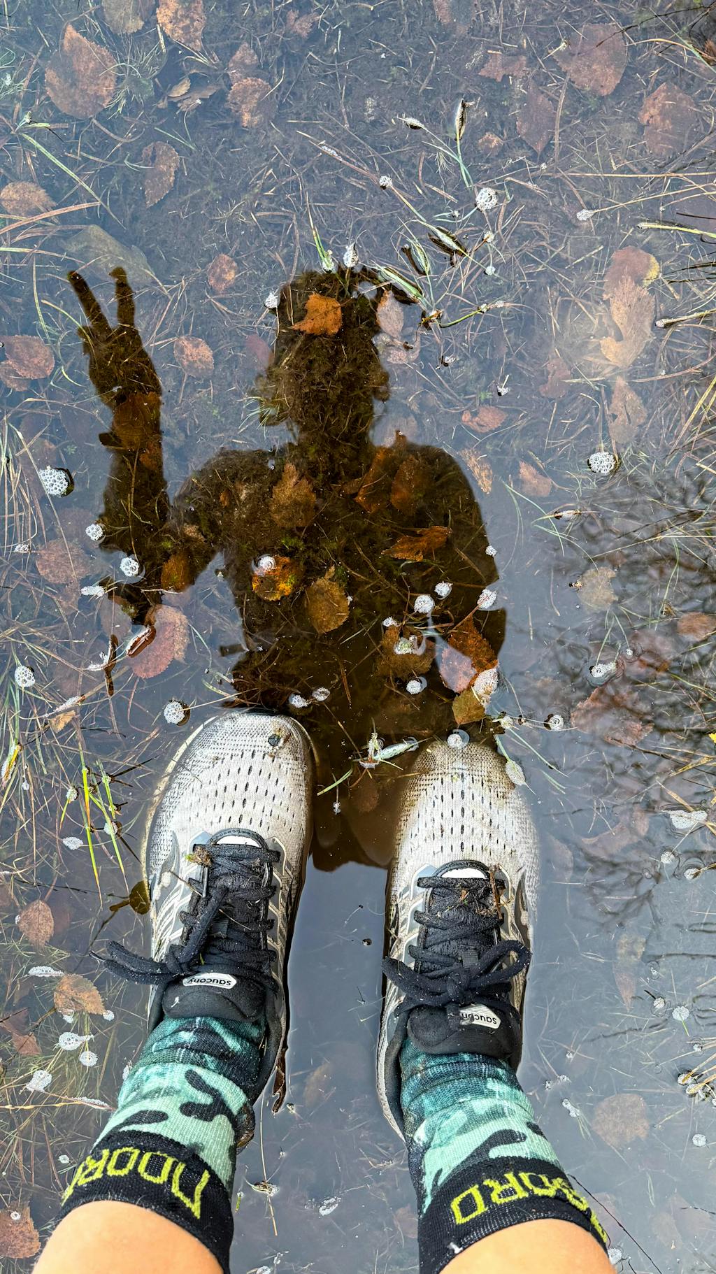 Waterproof Socks - All Weather
