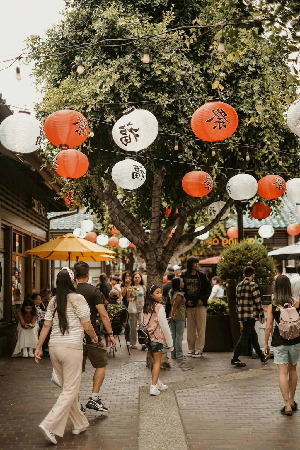 NordStudios™ 'All - In - One' | Mobile & Desktop Lightroom Presets