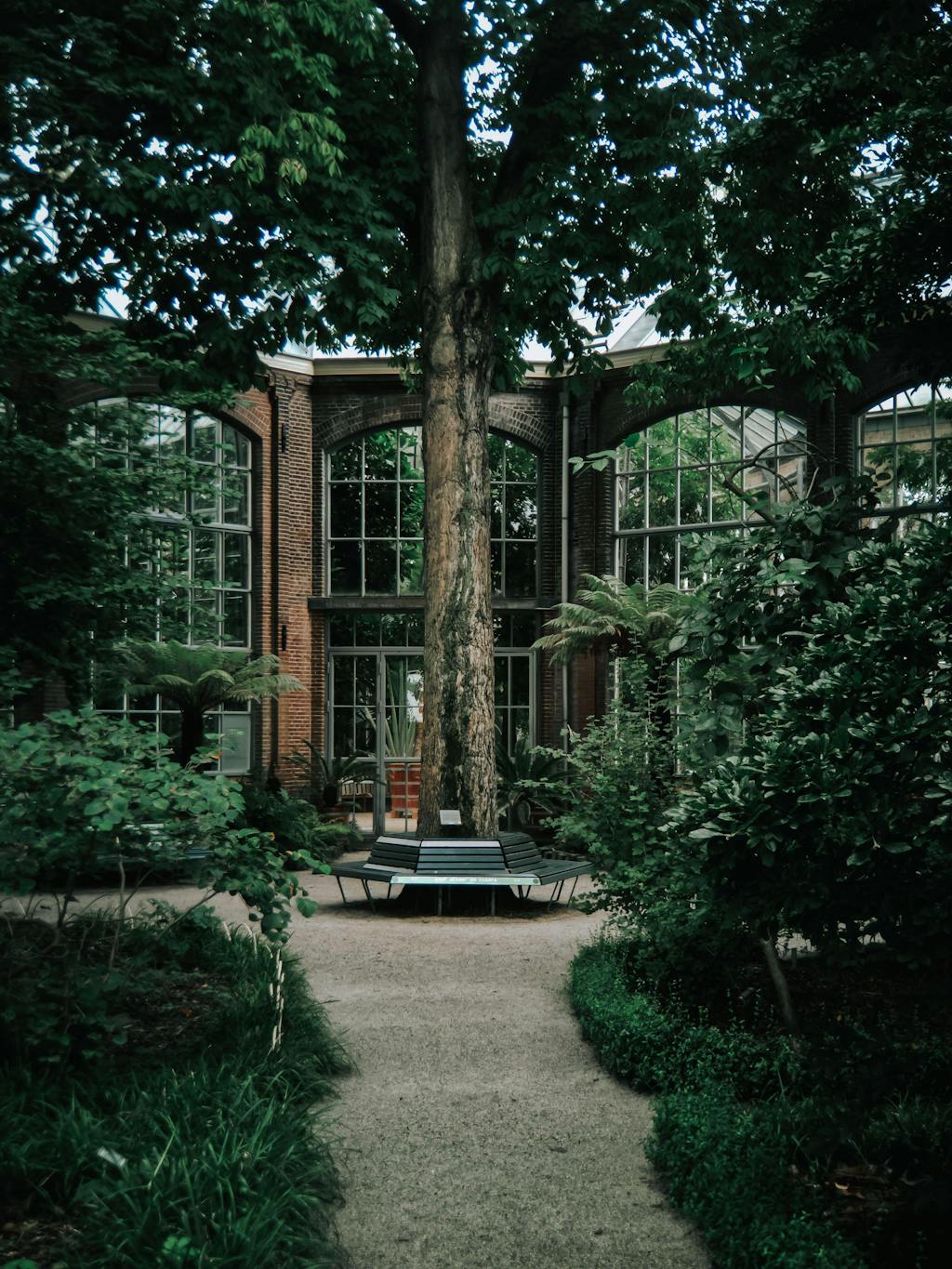 'Dark & Moody +' Lightroom Presets Pack | Mobile & Desktop