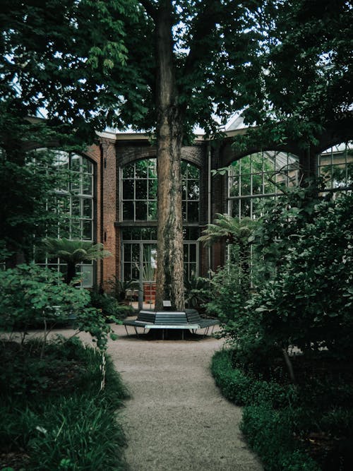 'Dark & Moody +' Lightroom Presets Pack | Mobile & Desktop