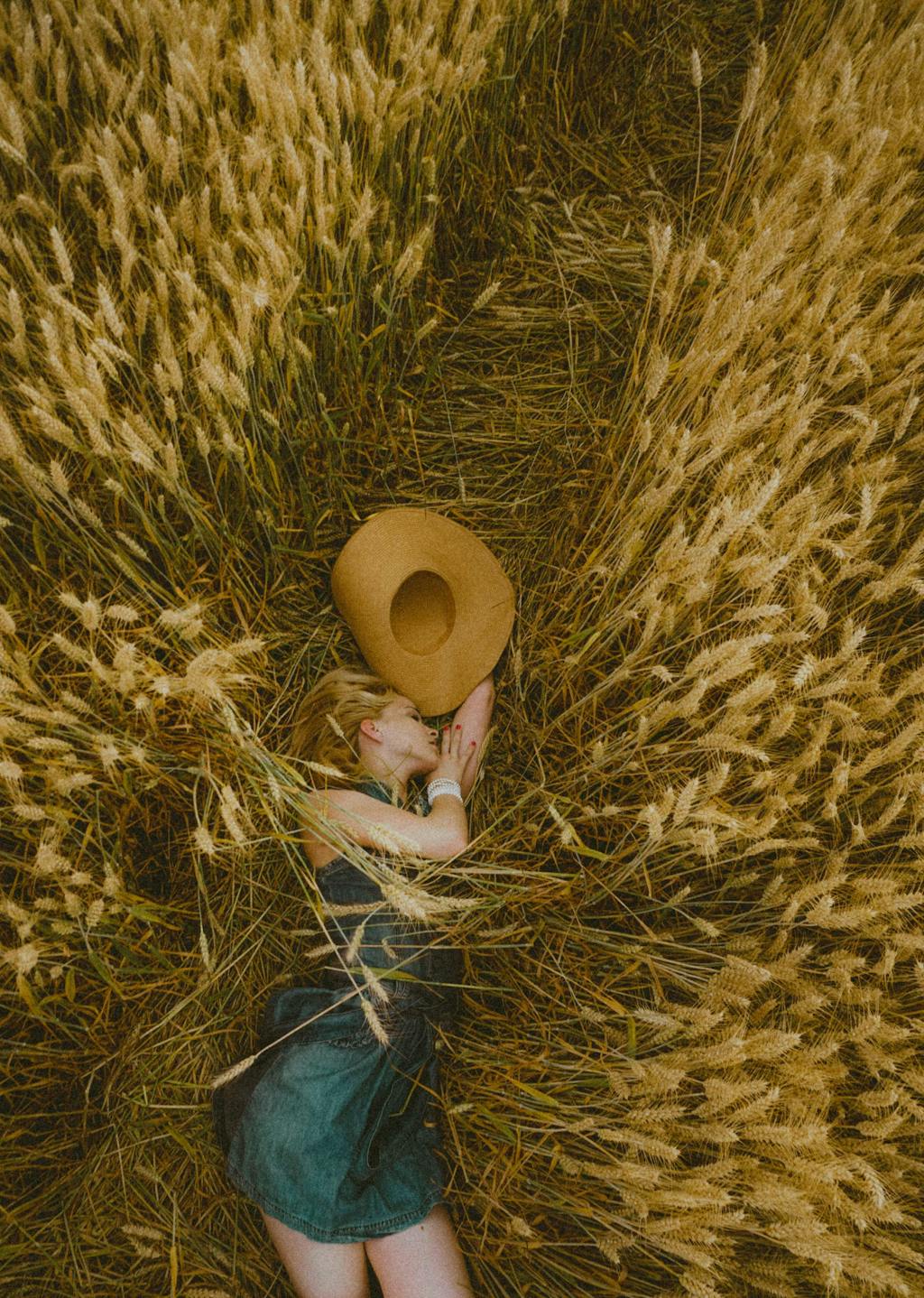 The Filmic Bundle | Mobile & Desktop Lightroom Presets