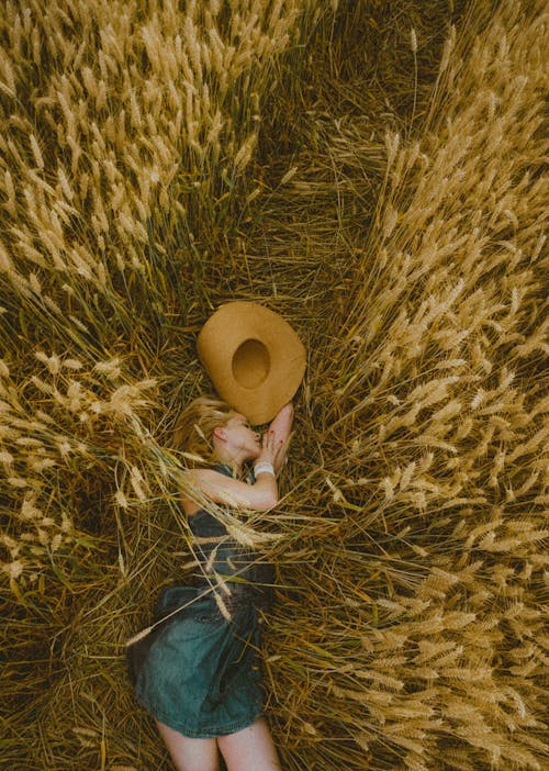 The Filmic Bundle | Mobile & Desktop Lightroom Presets