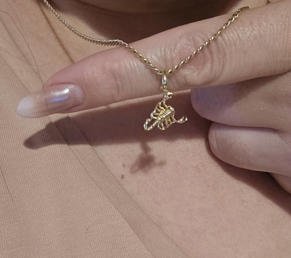 Scorpion Necklace in Gold
