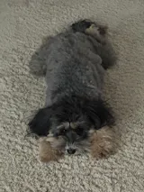 North Hound Life