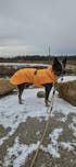 The Summit Seeker North Tail Leash
