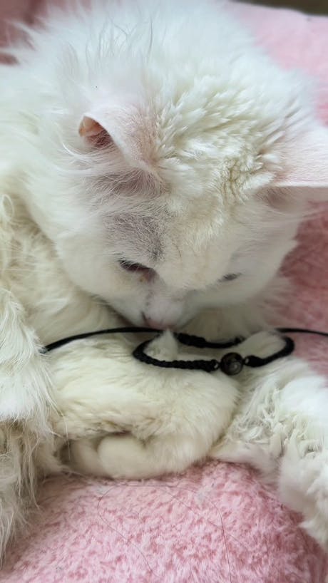 Персонализирана гривна със снимка