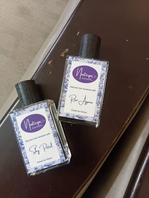 Shy Petal - Luxury Women’s Perfume in Pakistan | Nosteza