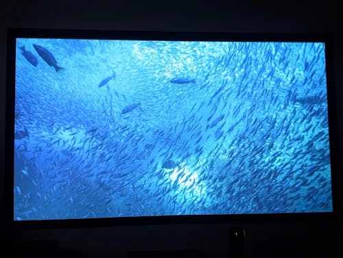100"-130" NothingProjector Lenticular 4K ALR Projector Screen for Long/Standard Throw Projectors
