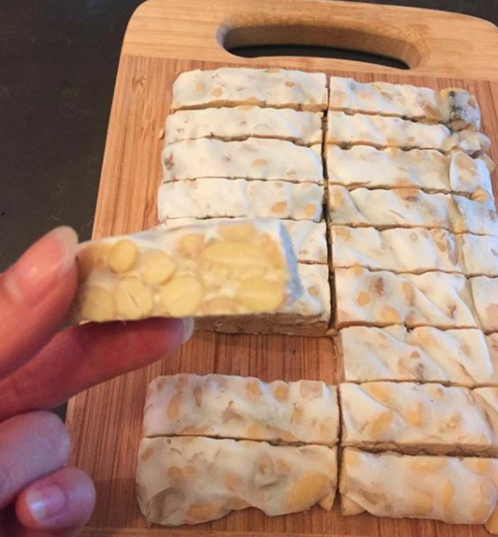 Organic Tempeh Starter Culture 10g Tempeh Food