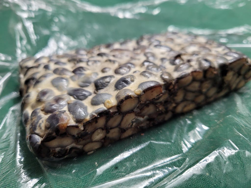 Organic Tempeh Starter Culture 10g Tempeh Food