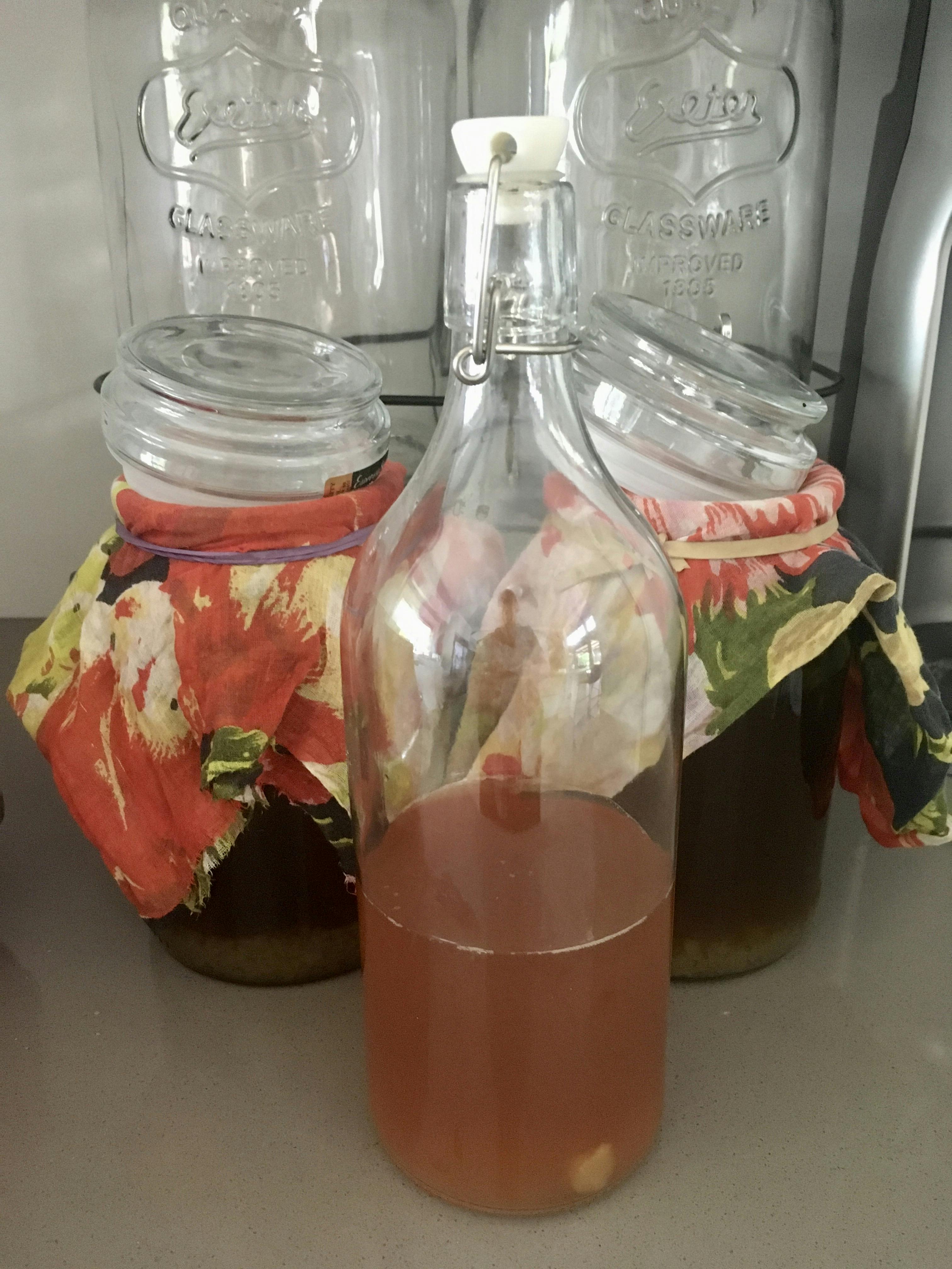 Raw Organic Water Kefir Grains Water Kefir Grains Online Buy Water