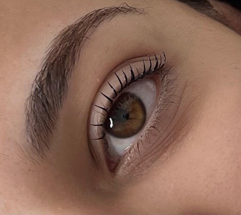 Formation Lash Lift Vegan™ 2.0 en Ligne FR