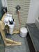 NU Aqua Platinum Series 5 Stage 100GPD RO System with Booster Pump