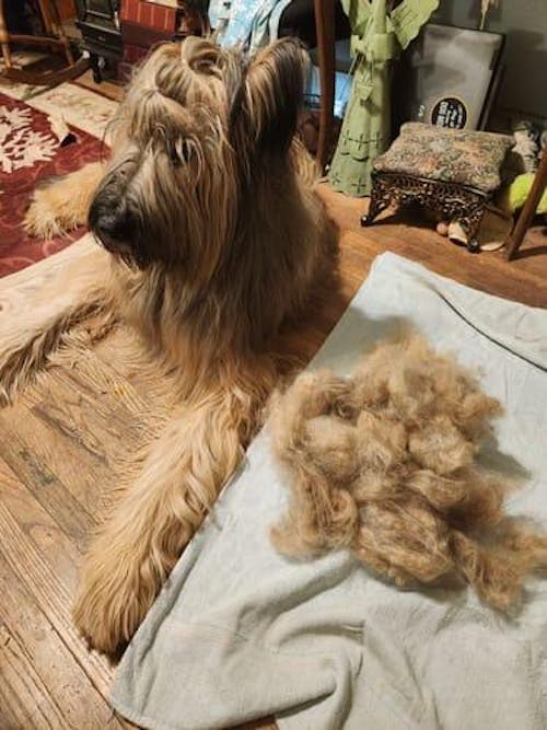 The Original FureverBrush® - Pro Grooming Tool