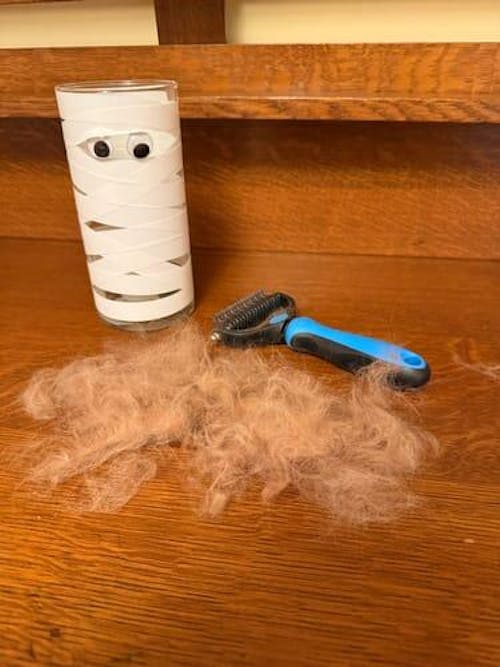 The Original FureverBrush® - Pro Grooming Tool