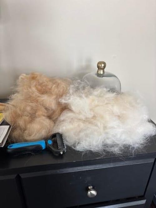 The Original FureverBrush® - Pro Grooming Tool