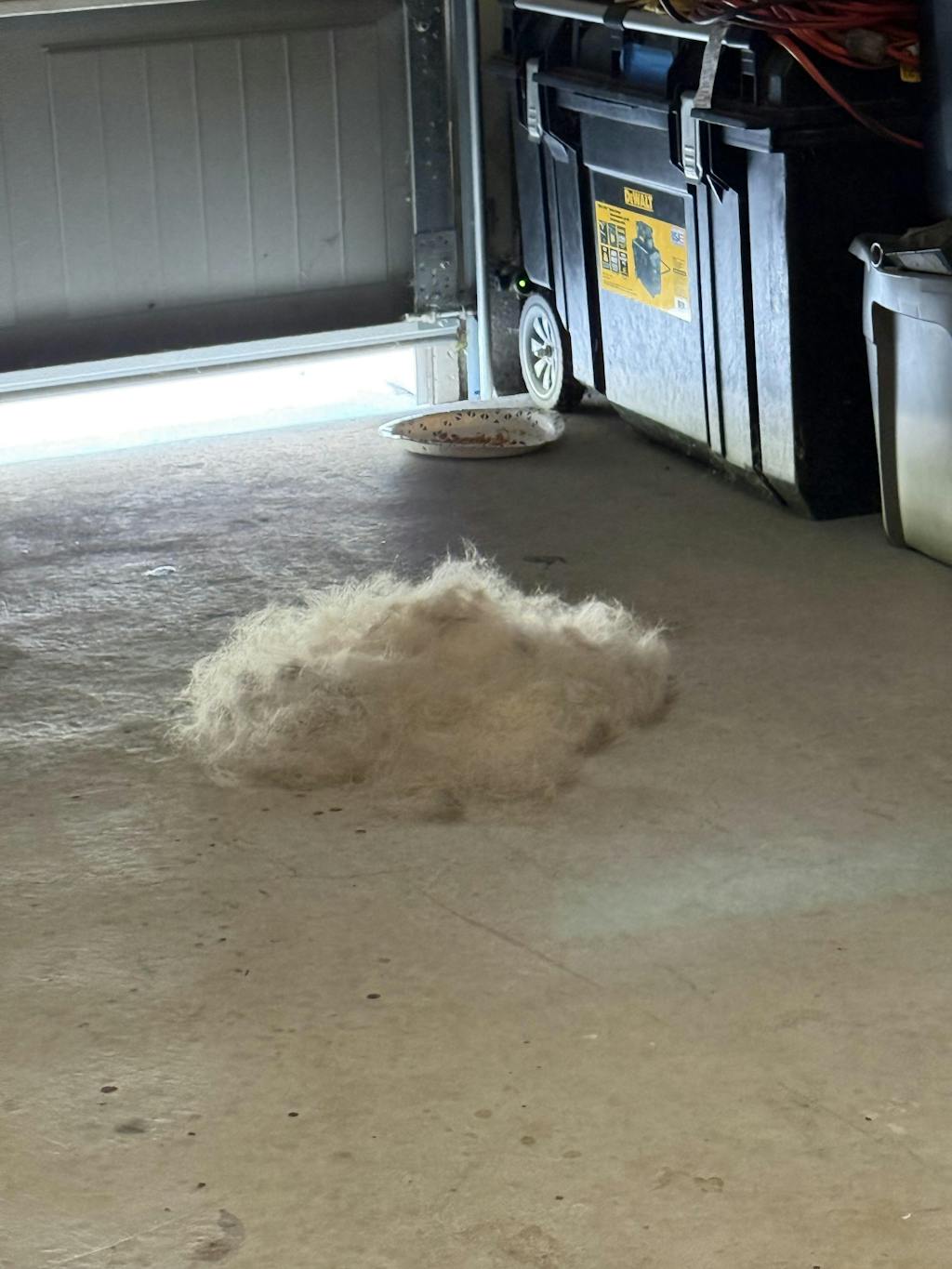 The Original FureverBrush® - Pro Grooming Tool