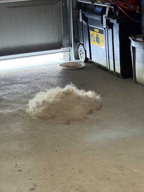 The Original FureverBrush® - Pro Grooming Tool