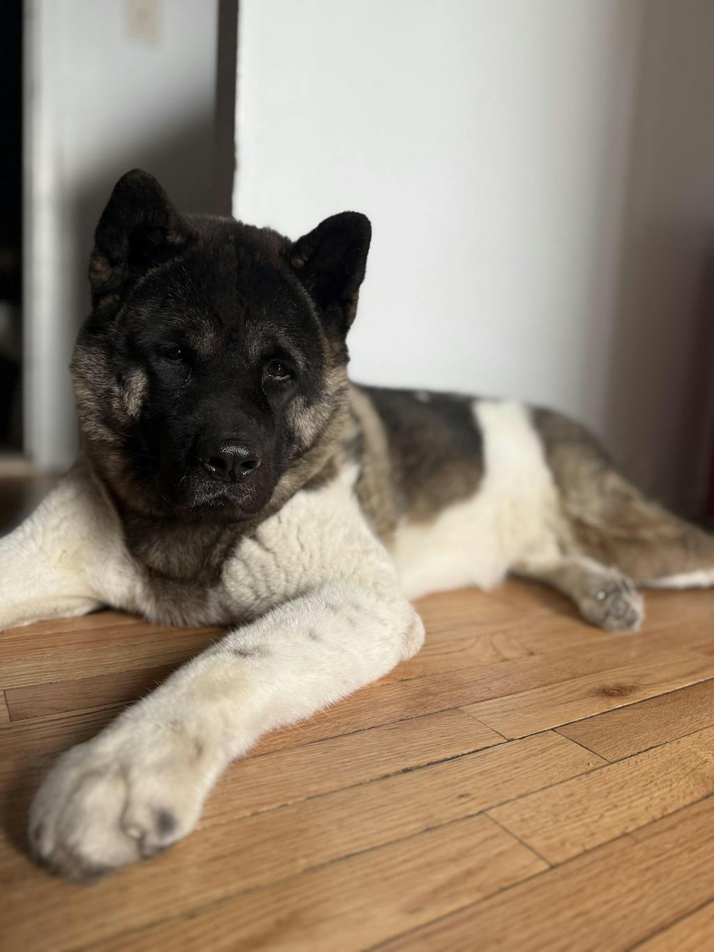 The Original FureverBrush® - Pro Grooming Tool