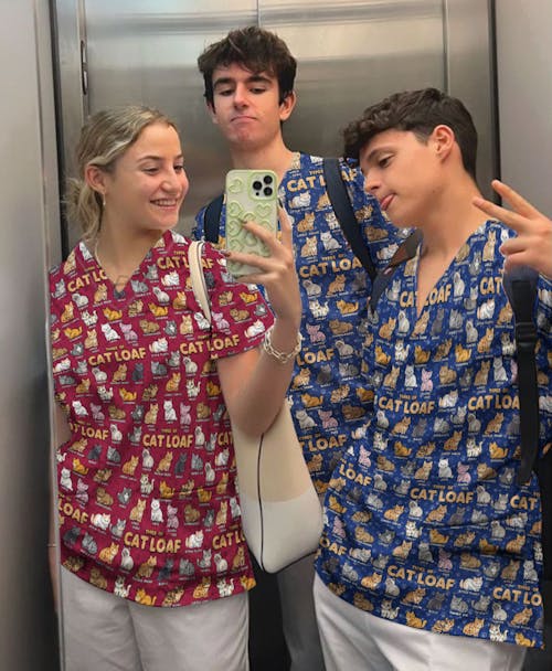 Funny Cat Loaf Nurse Scrub Top - Cute Cat Lover Medical Shirt for Women - Types of Cat Loaf RN LPN CNA Uniform Gift