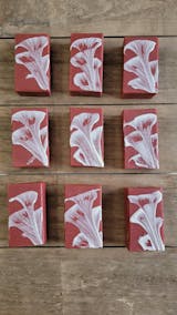 Trial by Fire Red Mica Blend – Nurture Soap Making Supplies