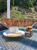 Nutricot - Organic apricot kernel butter