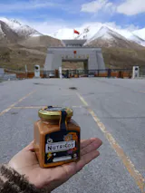 Nutricot - Organic apricot kernel butter