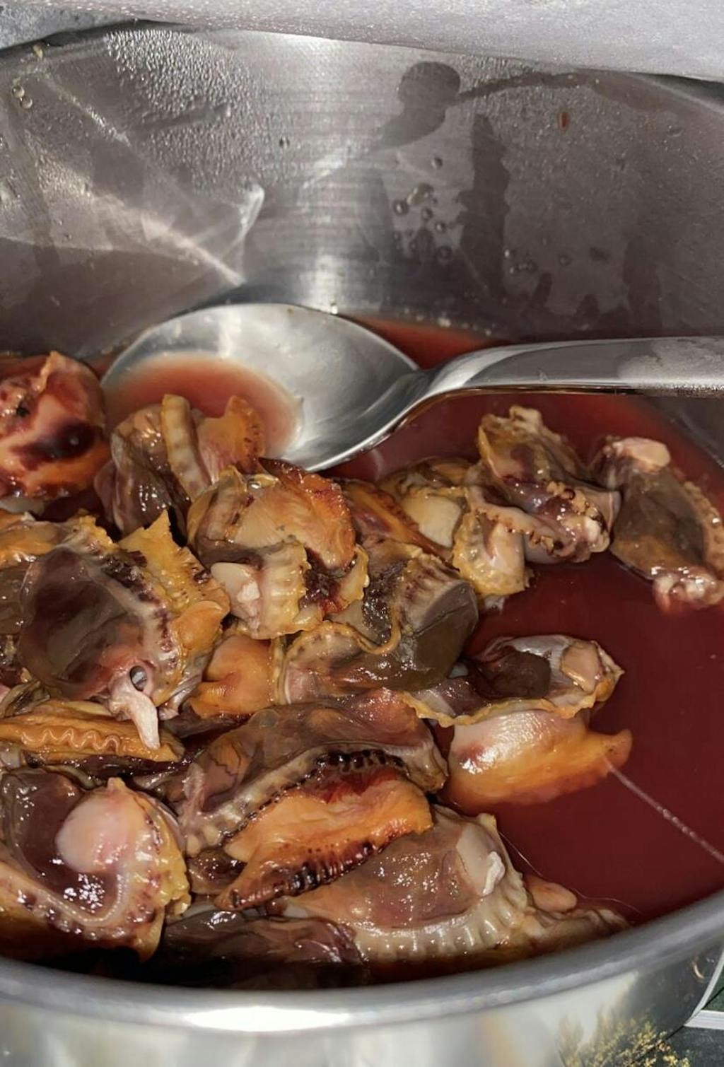 Fresh Cockles Delivery Singapore Oceanwaves SG