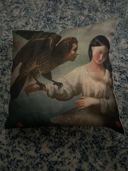 Surreal Pillow Case, Gothic Decor, Inmyeonjo - Oddities For Sale