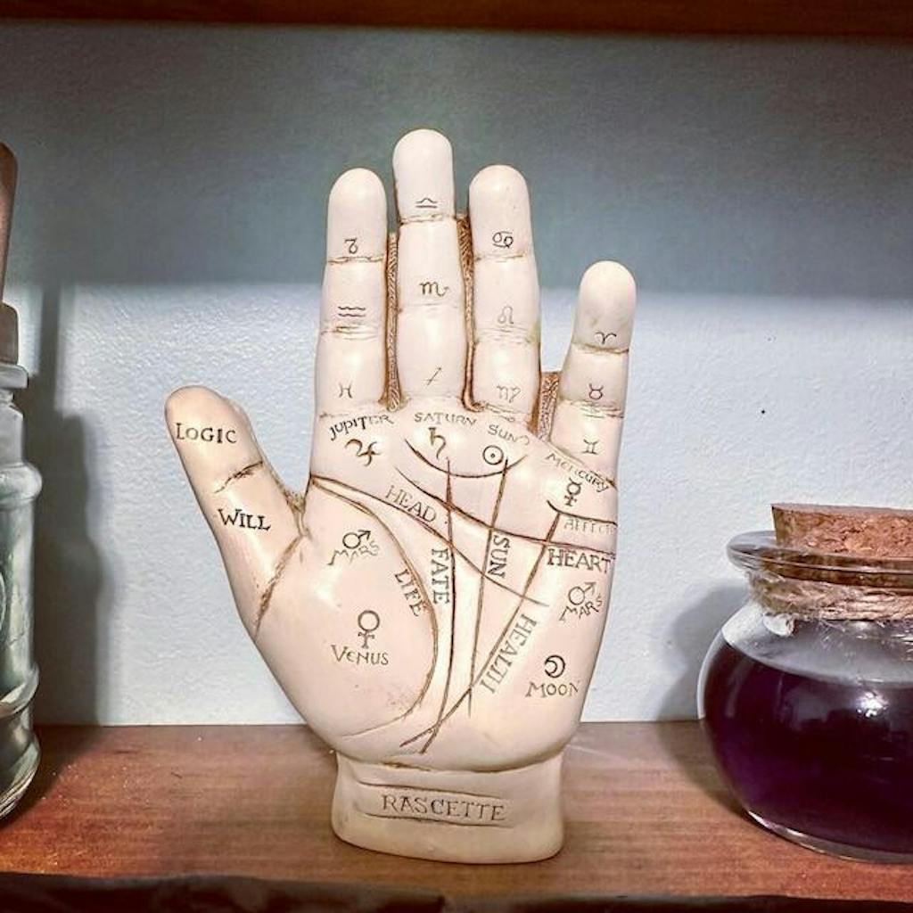 Palmistry Hand with Book, Vintage Style Fortune Telling Hand - Oddities ...