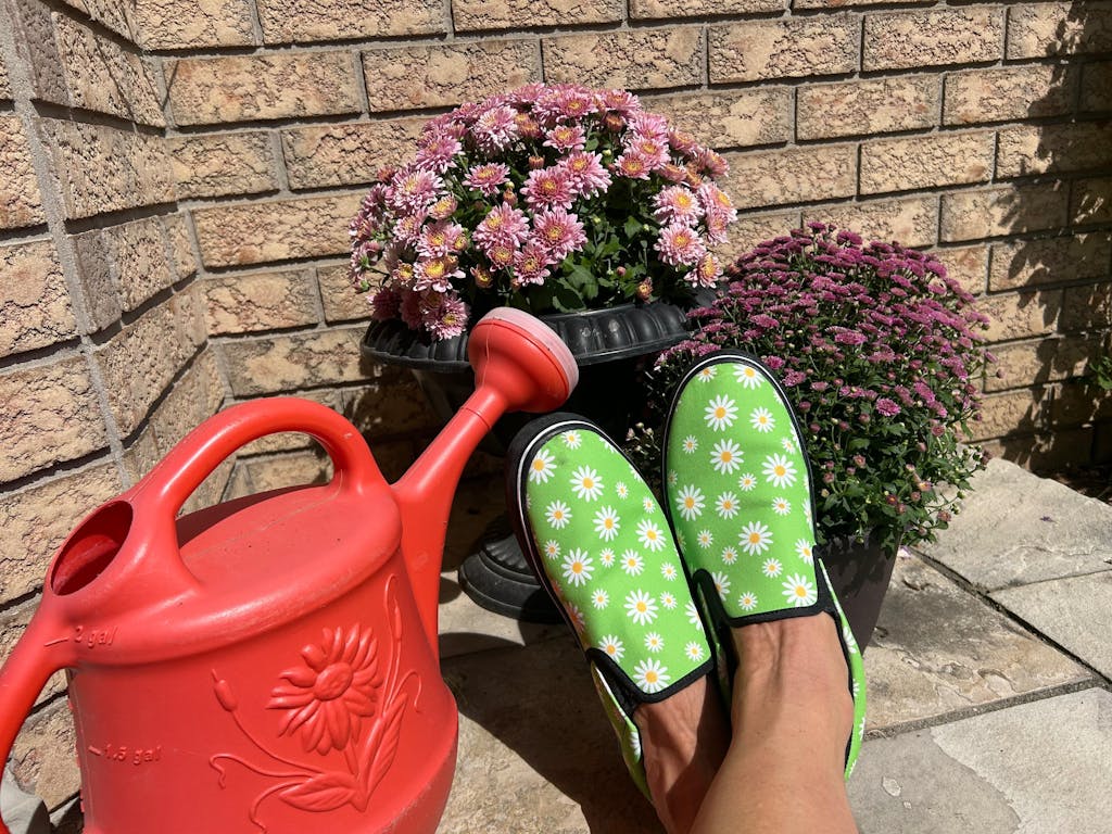 Driving Miss Daisy Slip Ons