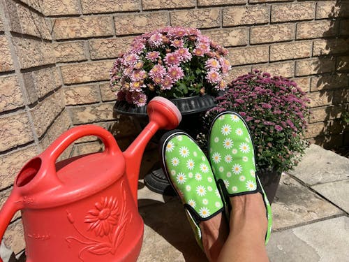 Driving Miss Daisy Slip Ons