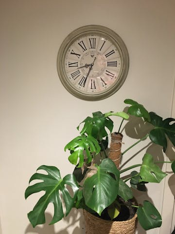 Paisley Vintage Roman Wall Clock, Cream, 40cm