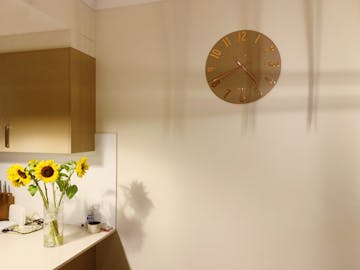 Thomas Kent Mulberry Wall Clock, Rose Gold, 50cm