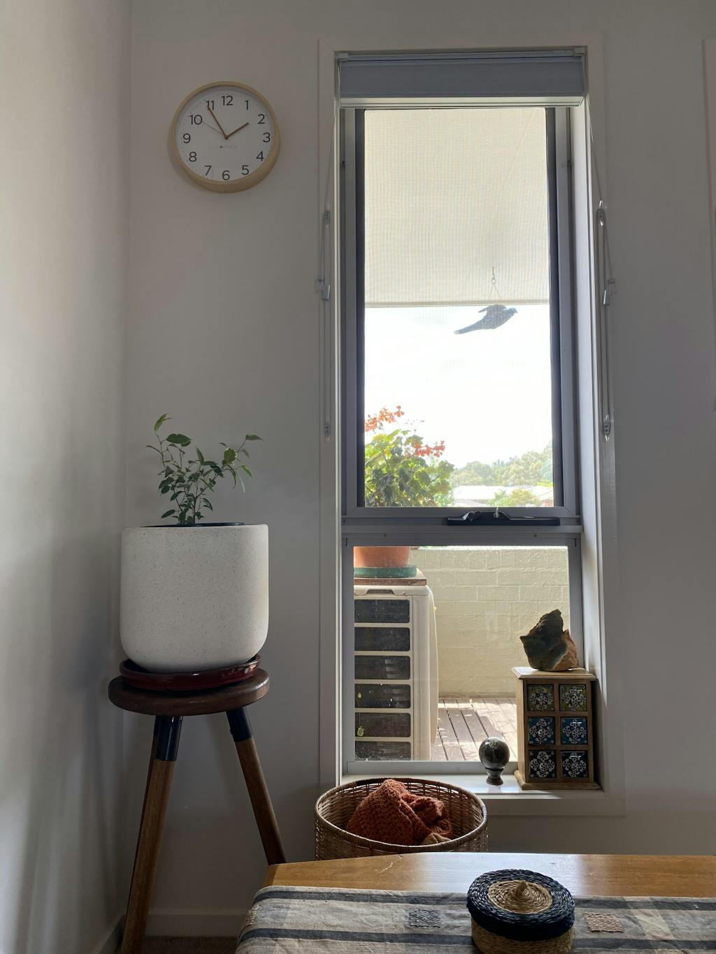 Australia's 1 Wall Clock & Alarm Clock Online Store Oh Clocks