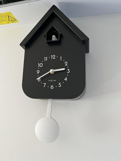 NeXtime Twitter Cuckoo Wall Clock, Black, 42cm