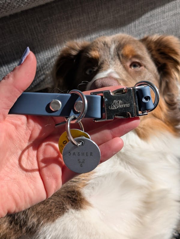 The Vienna Waterproof Dog Collar