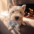 Blue Plaid Dog Collar Sailor Bowtie
