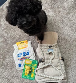 Jelly Bear LED Rechargeable Blinker - 3 Colors