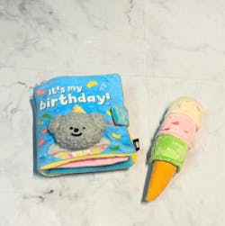My Birthday Playbook Nosework Toy
