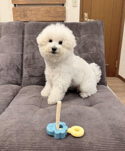 Easy Bite Grip - 2 Colors