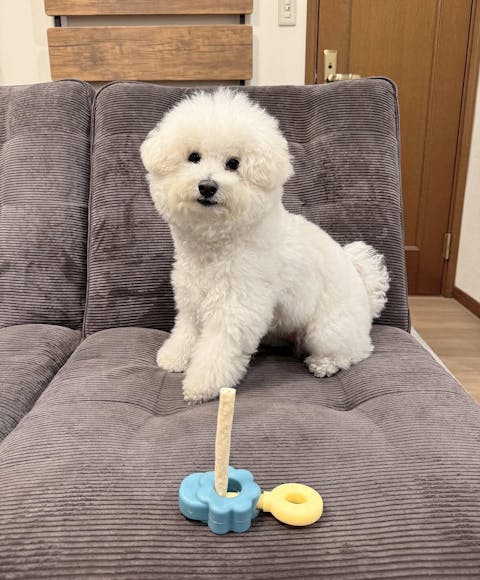 Easy Bite Grip - 2 Colors