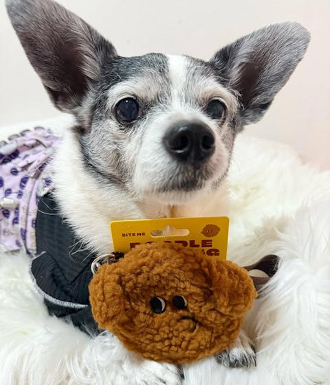 Poodle Poop Bag Pouch