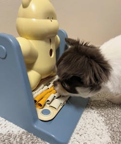 Braining Spin and Snack Squirrel Toy