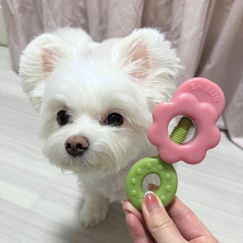 Easy Bite Grip - 2 Colors