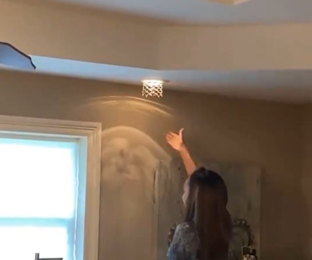 O' Llumi Gingko / Silver