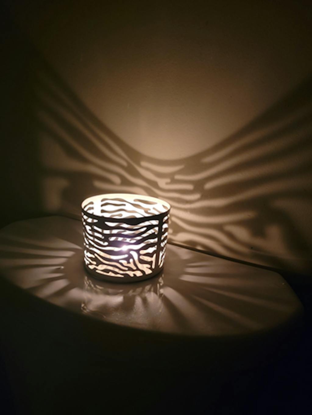 O'Llumi Zebra  / White